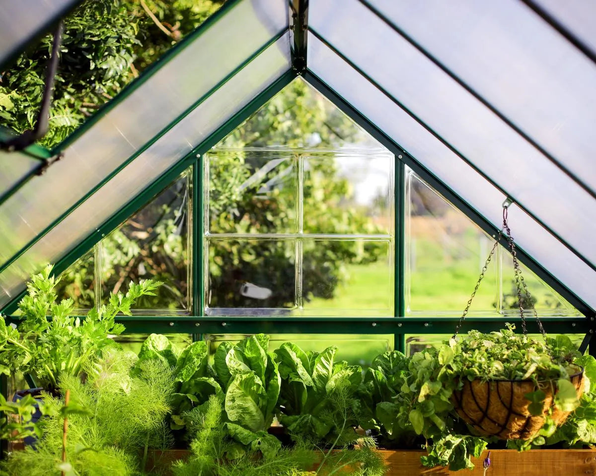 Palram Canopia Hybrid 6 x 14 ft Green Greenhouse