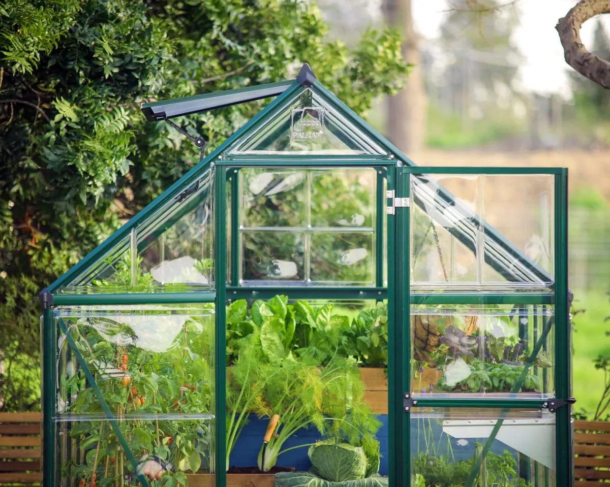 Palram Canopia Hybrid 6 x 14 ft Green Greenhouse