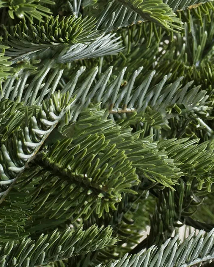 Nordmann Fir Artificial Christmas Tree