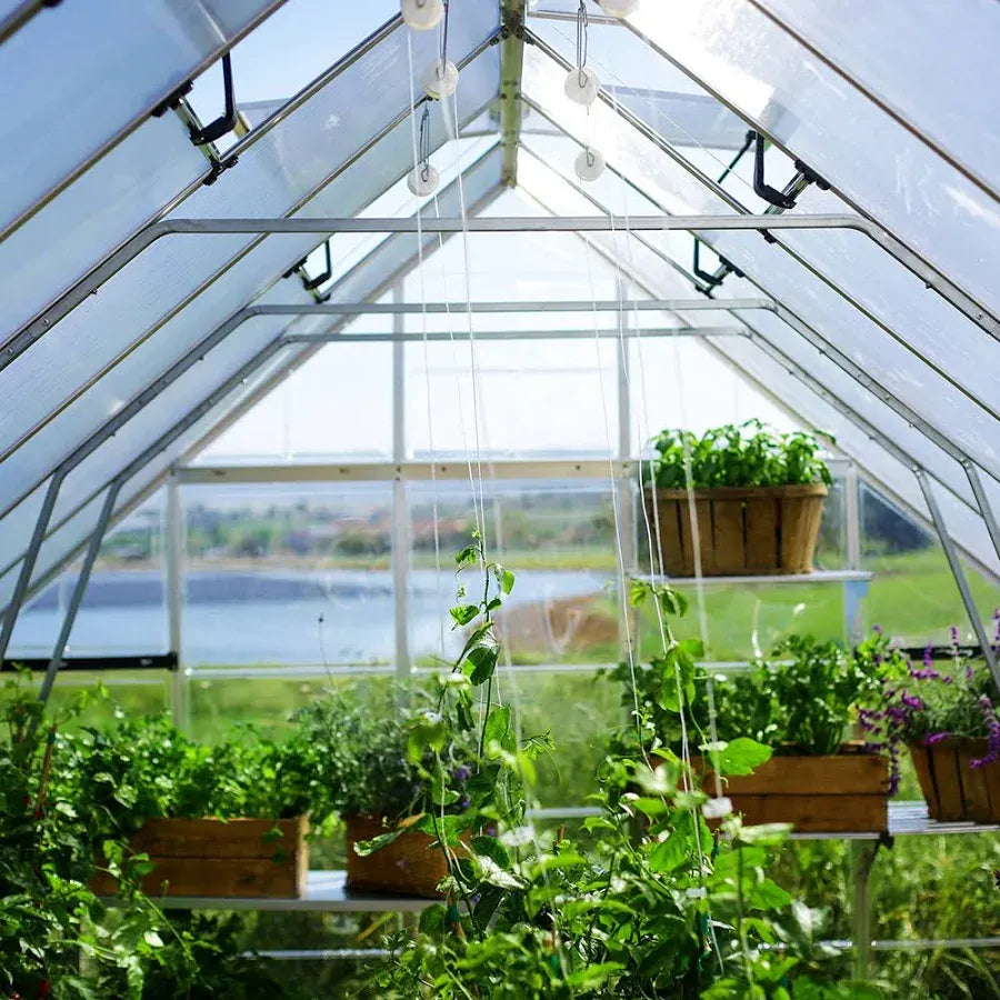 Palram Canopia Balance Silver Greenhouse – 10 x 32ft