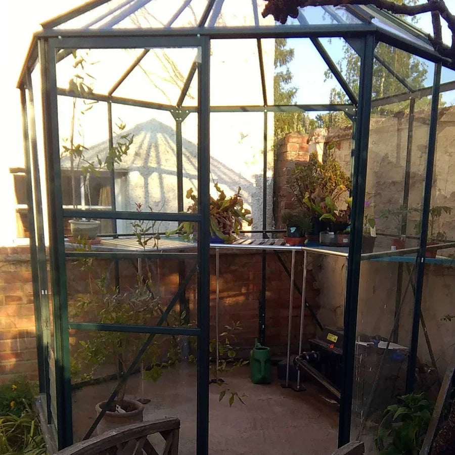 Vitavia Hera 4500 Green Orangery Greenhouse
