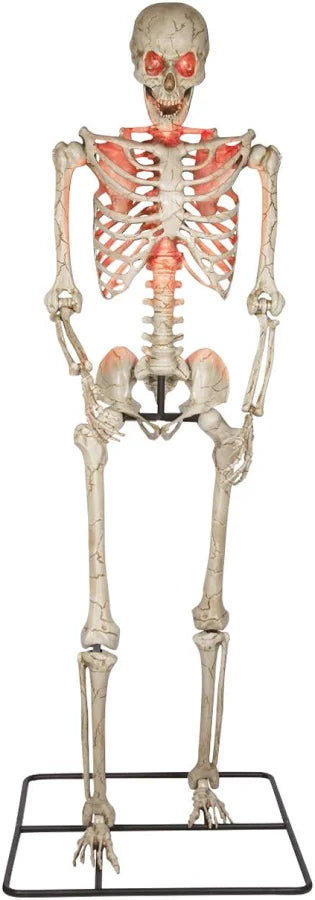Gigantic Giant Skeleton 3 Meters